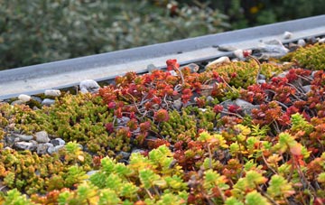 the cost of Coldhams Common green roof installation