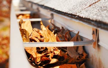 Coldhams Common gutter cleaning companies