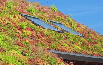 Coldhams Common living roof systems
