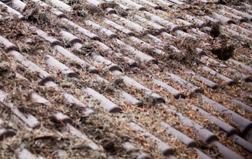 Coldhams Common roof cleaning companies