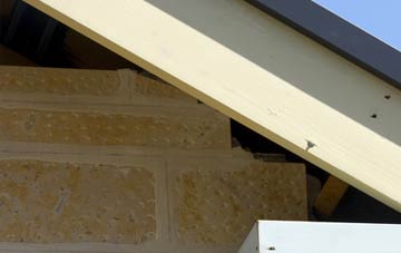 soffit repair Coldhams Common