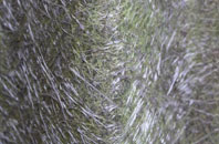 Coldhams Common fibreglass roof work