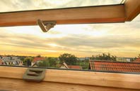 rated Coldhams Common roof window companies